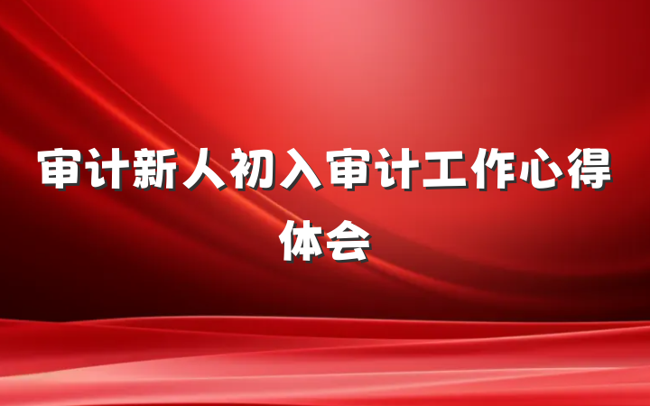 审计新人初入审计工作心得体会
