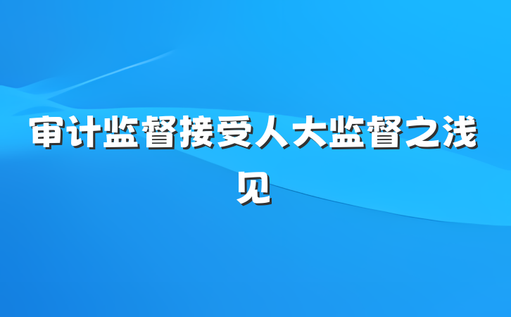 审计监督接受人大监督之浅见