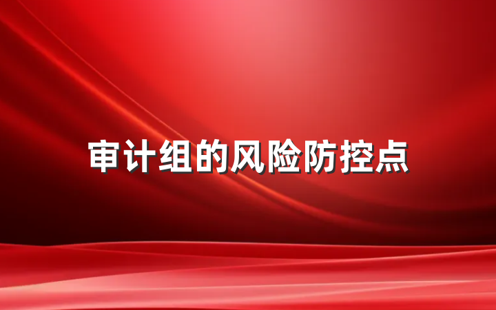 审计组的风险防控点
