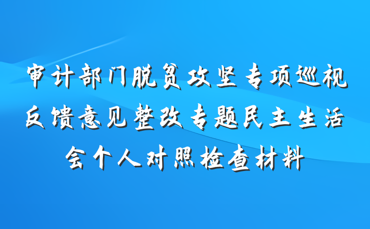 审计部门脱贫攻坚专项巡视反馈意见整改专题民主生活会个人对照检查材料