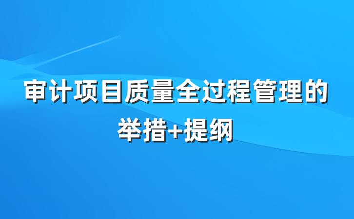 审计项目质量全过程管理的举措 提纲