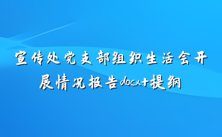 宣传处党支部组织生活会开展情况报告docx 提纲