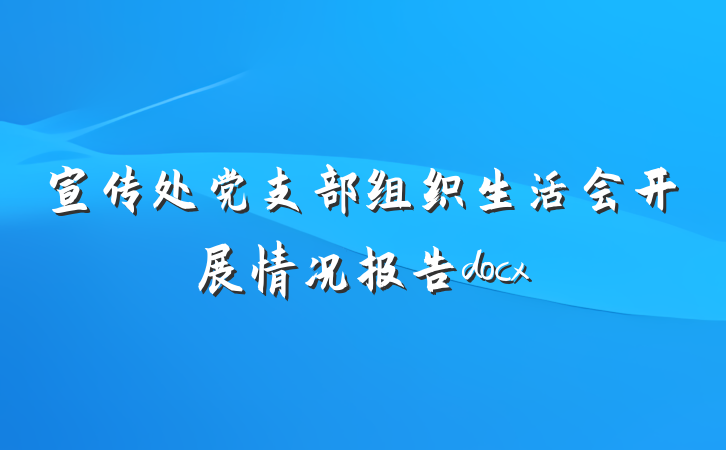 宣传处党支部组织生活会开展情况报告docx