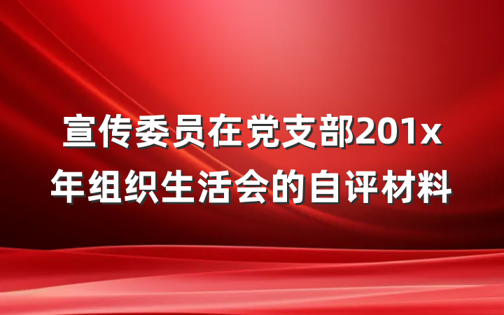 宣传委员在党支部201x年组织生活会的自评材料