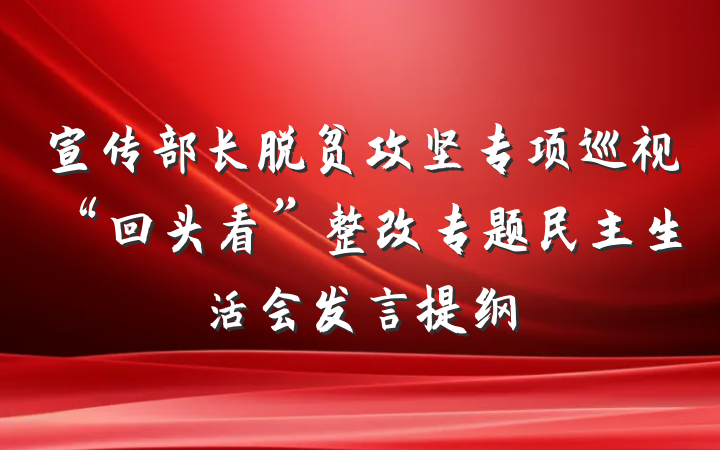宣传部长脱贫攻坚专项巡视“回头看”整改专题民主生活会发言提纲