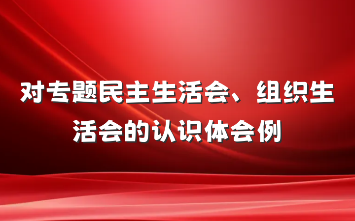 对专题民主生活会、组织生活会的认识体会例