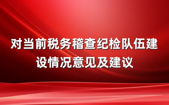 对当前税务稽查纪检队伍建设情况意见及建议
