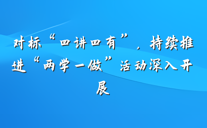 对标“四讲四有”，持续推进“两学一做”活动深入开展