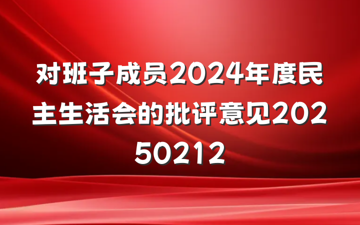 对班子成员2024年度民主生活会的批评意见20250212