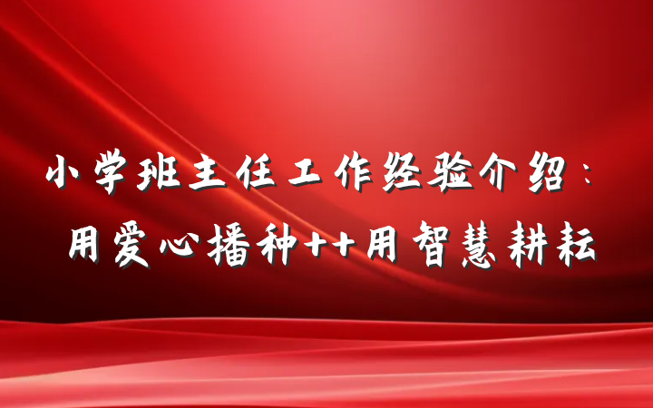 小学班主任工作经验介绍：用爱心播种  用智慧耕耘