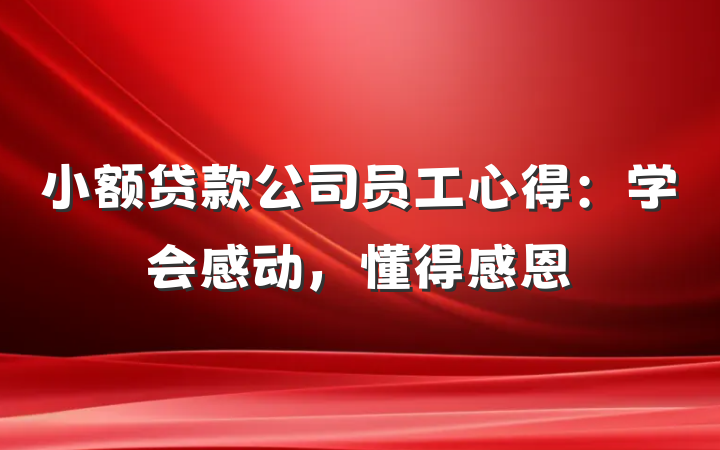 小额贷款公司员工心得：学会感动，懂得感恩