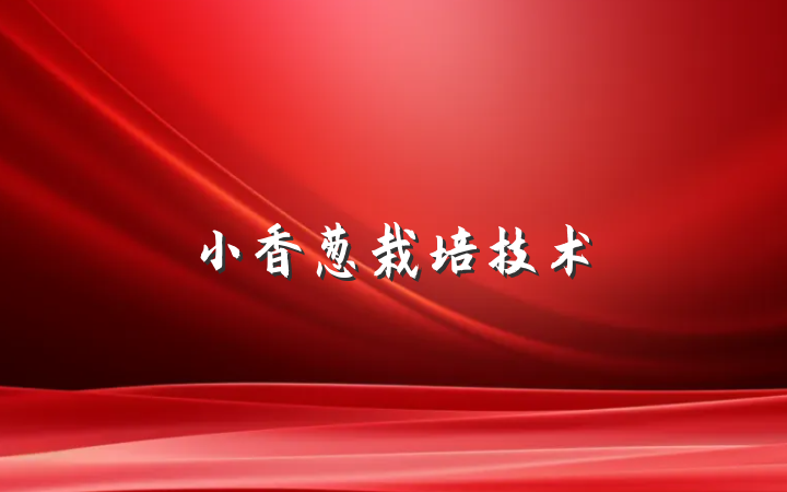 小香葱栽培技术