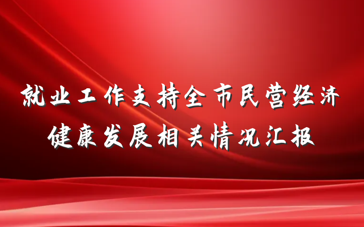 就业工作支持全市民营经济健康发展相关情况汇报