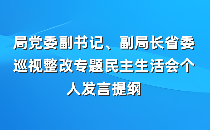 局党委副书记、副局长省委巡视整改专题民主生活会个人发言提纲