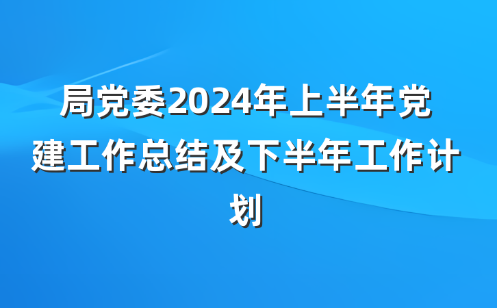局党委2024年上半年党建工作总结及下半年工作计划