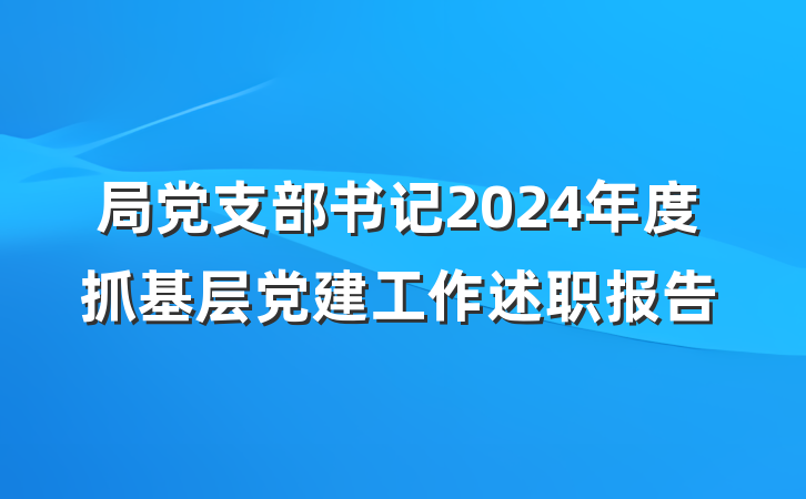 局党支部书记2024年度抓基层党建工作述职报告