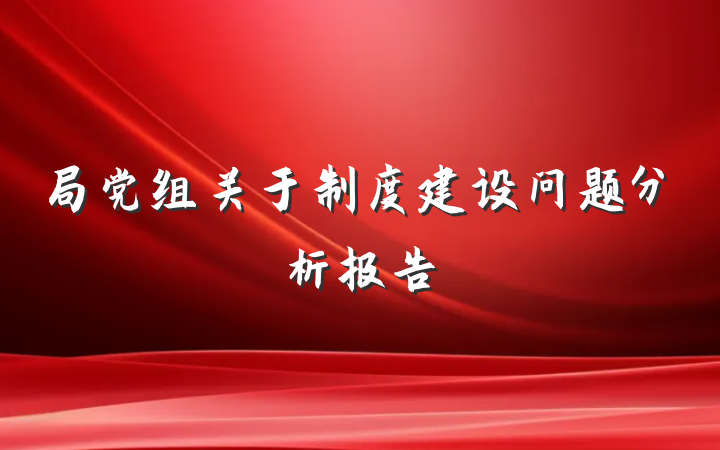 局党组关于制度建设问题分析报告