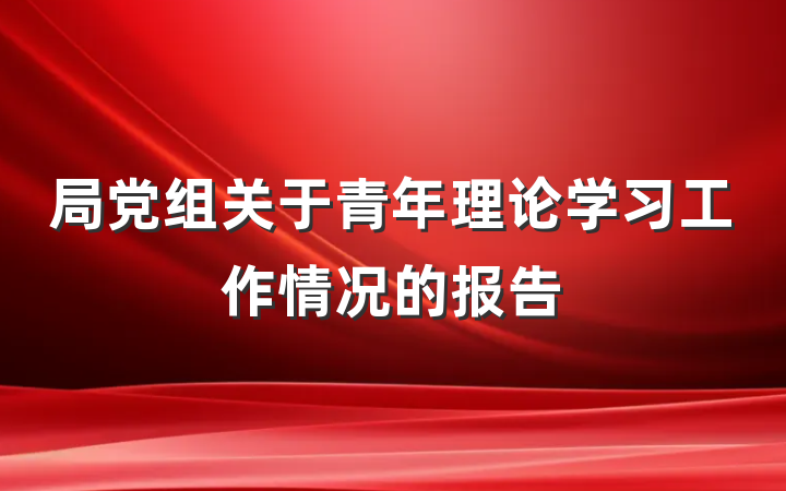 局党组关于青年理论学习工作情况的报告