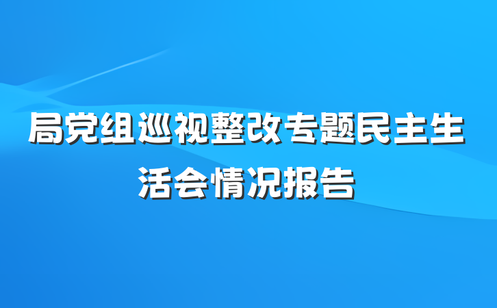 局党组巡视整改专题民主生活会情况报告
