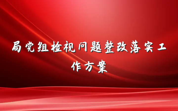 局党组检视问题整改落实工作方案