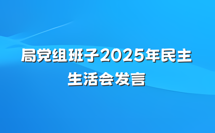 局党组班子2025年民主生活会发言