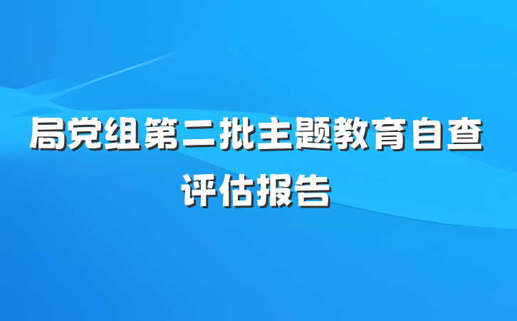 局党组第二批主题教育自查评估报告