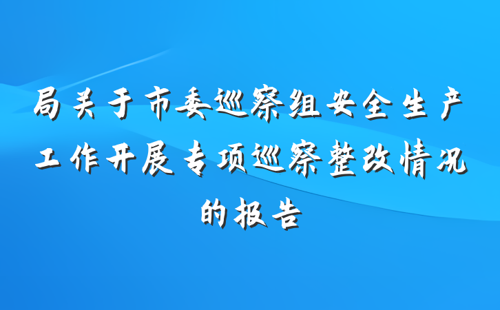 局关于市委巡察组安全生产工作开展专项巡察整改情况的报告
