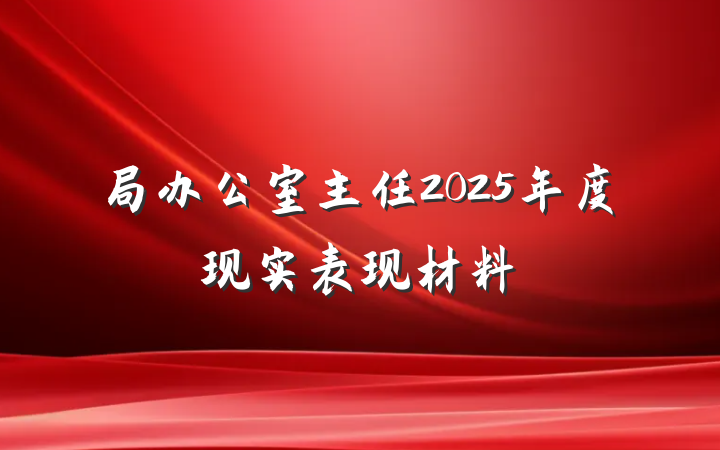 局办公室主任2025年度现实表现材料