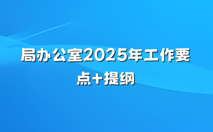 局办公室2025年工作要点 提纲