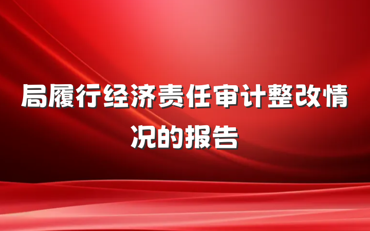 局履行经济责任审计整改情况的报告