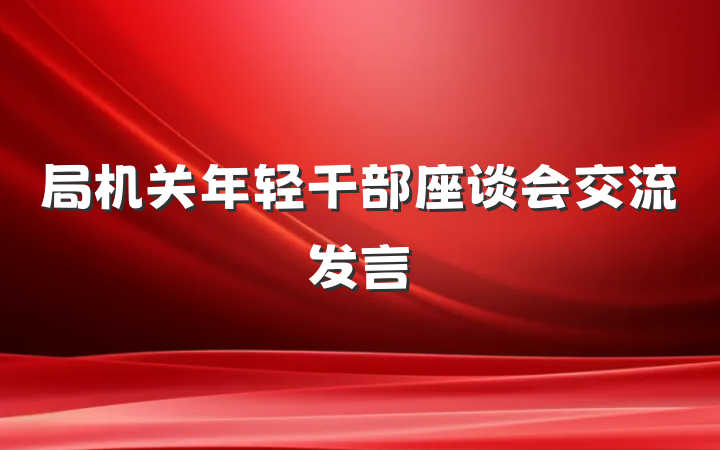 局机关年轻干部座谈会交流发言