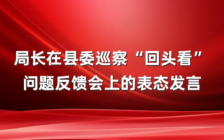 局长在县委巡察“回头看”问题反馈会上的表态发言