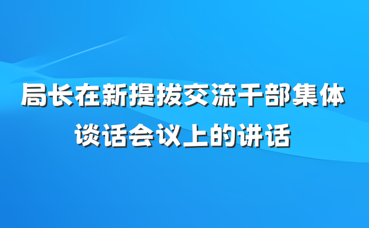 局长在新提拔交流干部集体谈话会议上的讲话