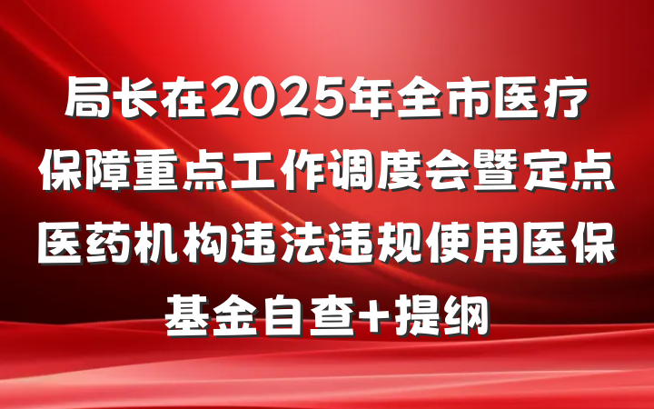 局长在2025年全市医疗保障重点工作调度会暨定点医药机构违法违规使用医保基金自查 提纲