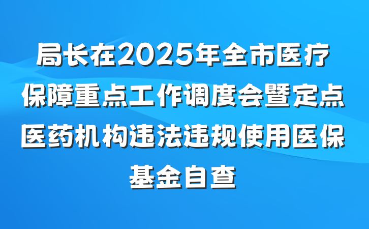 局长在2025年全市医疗保障重点工作调度会暨定点医药机构违法违规使用医保基金自查