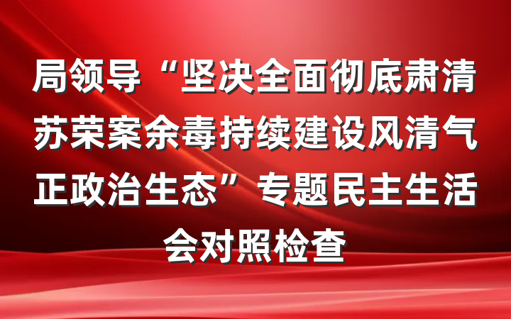 局领导“坚决全面彻底肃清苏荣案余毒持续建设风清气正政治生态”专题民主生活会对照检查