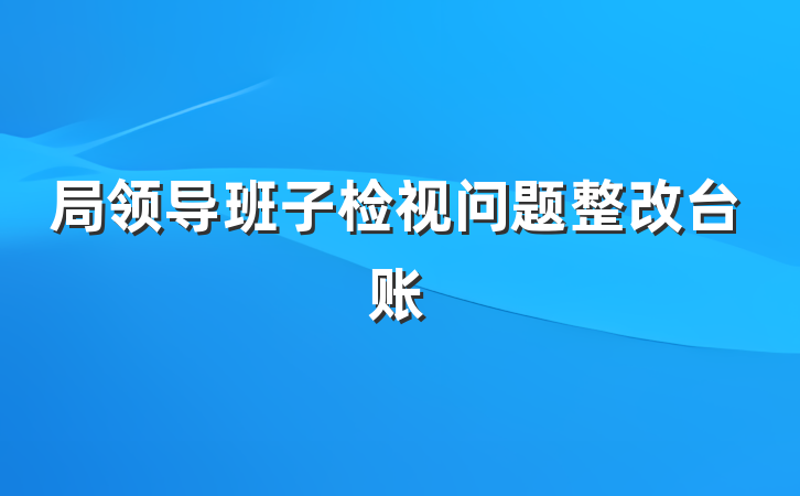 局领导班子检视问题整改台账