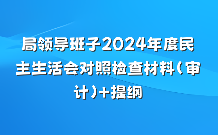 局领导班子2024年度民主生活会对照检查材料（审计） 提纲