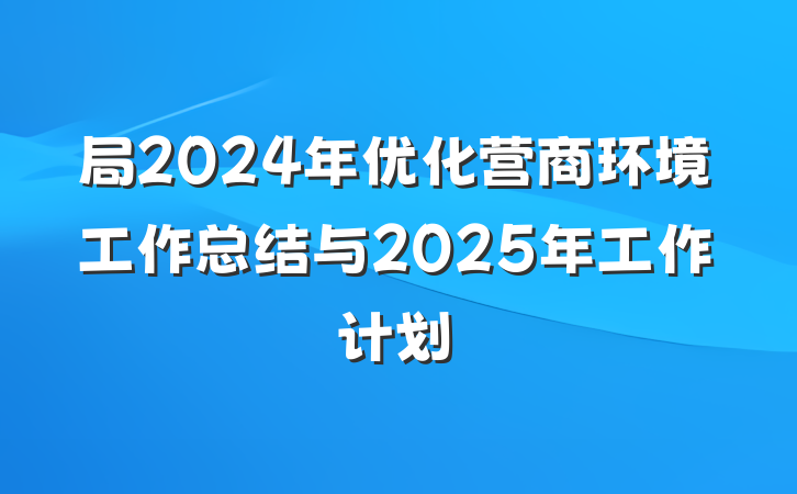 局2024年优化营商环境工作总结与2025年工作计划