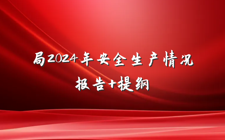 局2024年安全生产情况报告 提纲