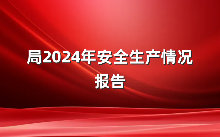 局2024年安全生产情况报告