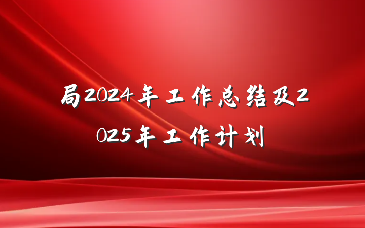 局2024年工作总结及2025年工作计划
