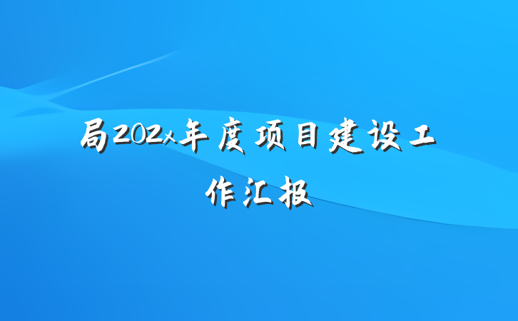 局202x年度项目建设工作汇报