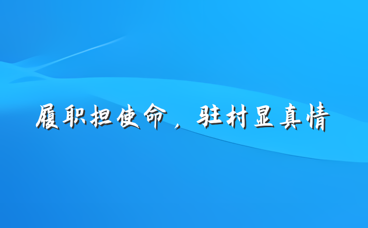 履职担使命，驻村显真情