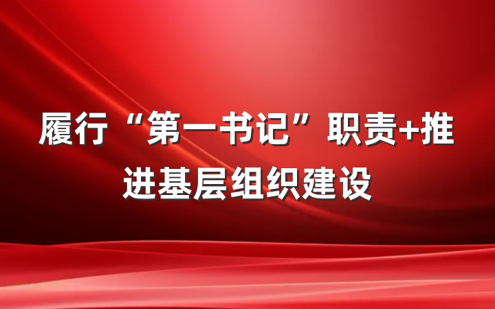 履行“第一书记”职责 推进基层组织建设