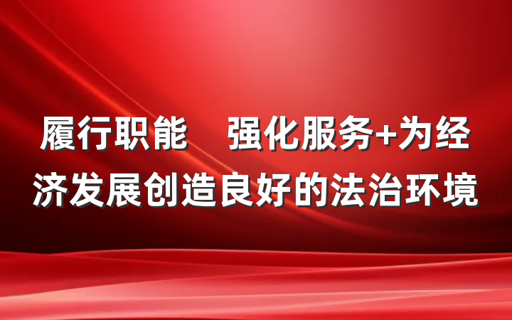 履行职能　强化服务 为经济发展创造良好的法治环境