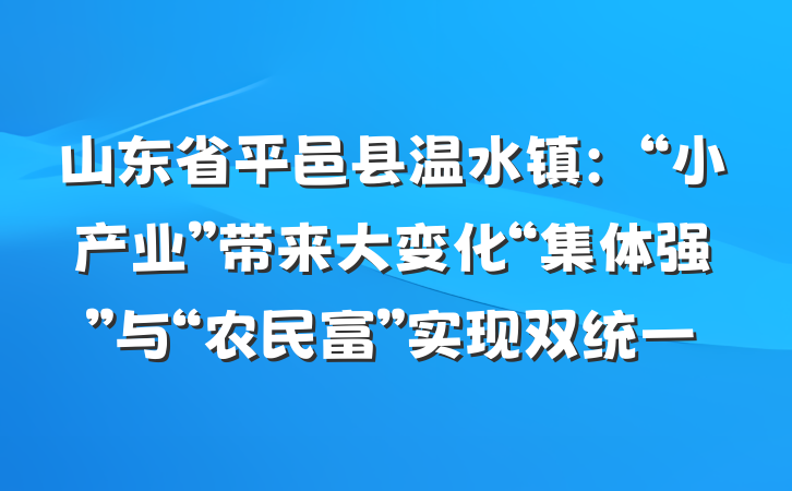 山东省平邑县温水镇：“小产业”带来大变化“集体强”与“农民富”实现双统一