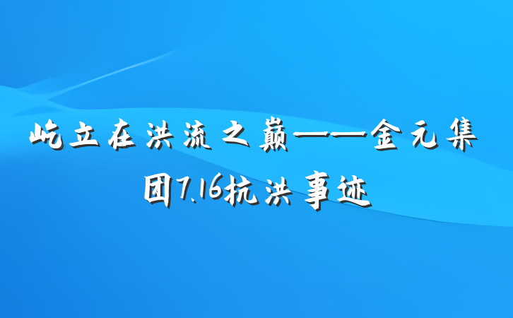 屹立在洪流之巅——金元集团7.16抗洪事迹