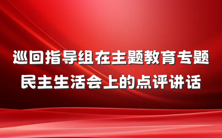 巡回指导组在主题教育专题民主生活会上的点评讲话