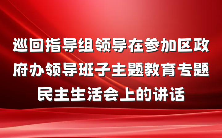 巡回指导组领导在参加区政府办领导班子主题教育专题民主生活会上的讲话